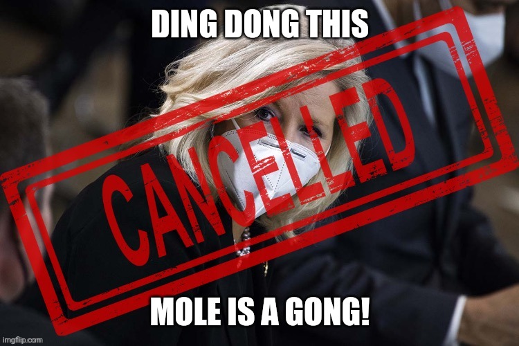 Welcome to the modern day Gong Show! | DING DONG THIS; MOLE IS A GONG! | image tagged in liz cheney cancelled,bye bye,miss,socialist,pie | made w/ Imgflip meme maker