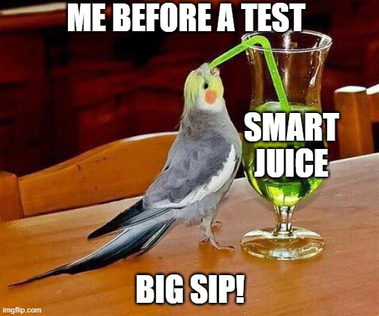 Smort time | ME BEFORE A TEST; SMART JUICE; BIG SIP! | image tagged in big sip | made w/ Imgflip meme maker