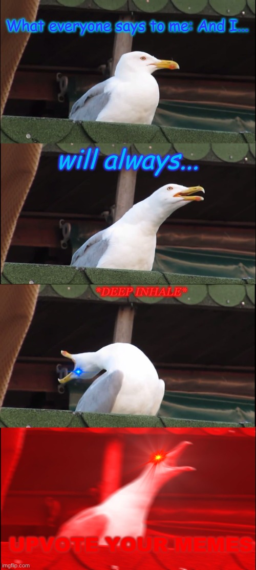 What everyone says to me: | What everyone says to me: And I... will always... *DEEP INHALE*; UPVOTE YOUR MEMES | image tagged in memes,inhaling seagull,upvote if you agree | made w/ Imgflip meme maker
