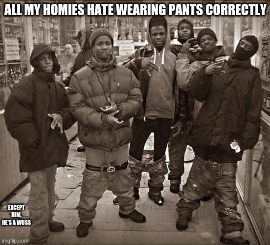 dont we all | ALL MY HOMIES HATE WEARING PANTS CORRECTLY; EXCEPT HIM, HE'S A WUSS | image tagged in all my homies hate,barney will eat all of your delectable biscuits | made w/ Imgflip meme maker