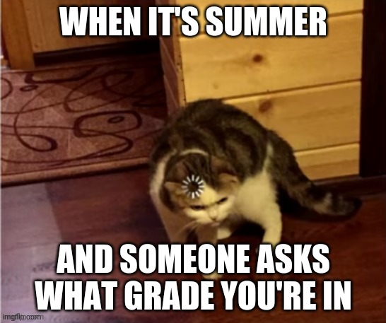 "I'm in __, I mean ___, well basically... ugh" | WHEN IT'S SUMMER; AND SOMEONE ASKS WHAT GRADE YOU'RE IN | image tagged in cat think,school,summer,cat | made w/ Imgflip meme maker