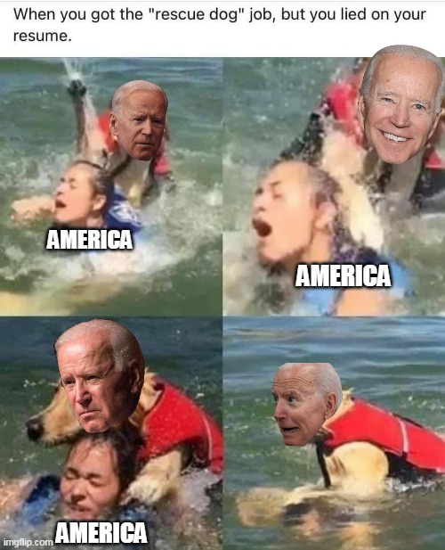 Rescue dog . . . President . . . at this point what difference does it make? | AMERICA; AMERICA; AMERICA | image tagged in biden | made w/ Imgflip meme maker