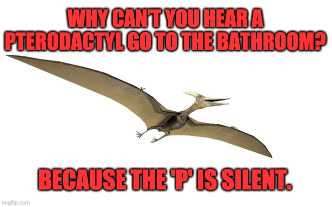 P | WHY CAN’T YOU HEAR A PTERODACTYL GO TO THE BATHROOM? BECAUSE THE 'P' IS SILENT. | image tagged in pterodactyl | made w/ Imgflip meme maker