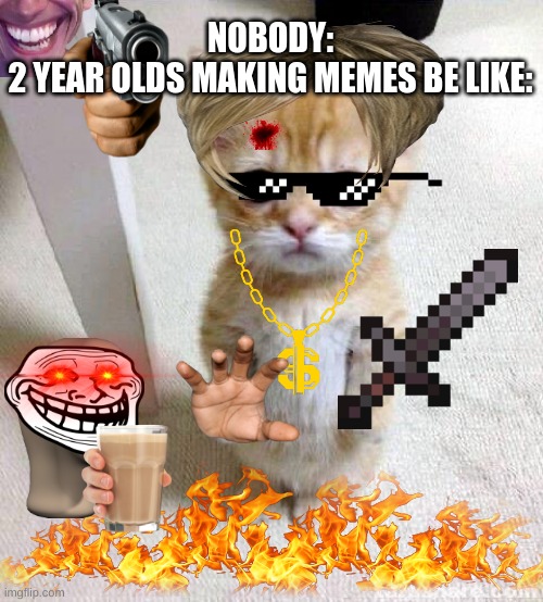 Cute Cat | NOBODY:
2 YEAR OLDS MAKING MEMES BE LIKE: | image tagged in memes,cute cat | made w/ Imgflip meme maker