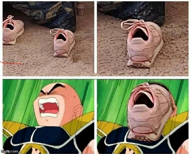 AAAAAAAAAAAAAAAAAAAAAAAAAAAa | image tagged in what can i say except aaaaaaaaaaa,shoe | made w/ Imgflip meme maker