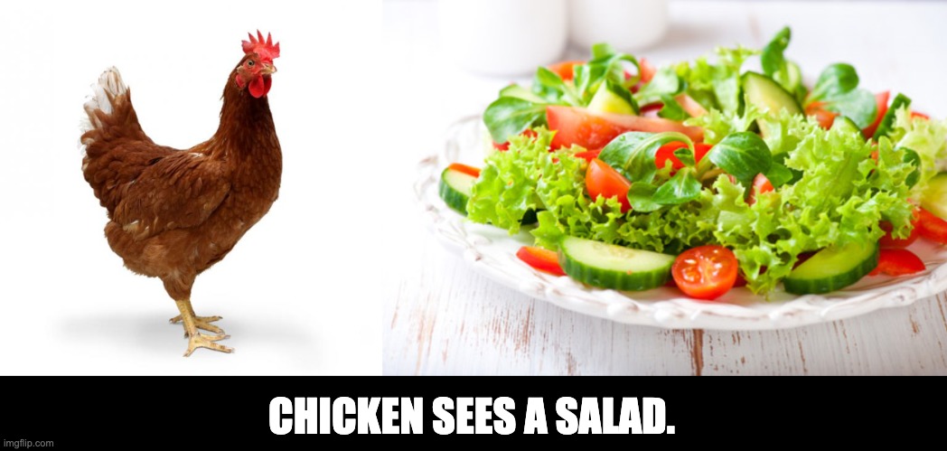 Salad | CHICKEN SEES A SALAD. | image tagged in salad | made w/ Imgflip meme maker