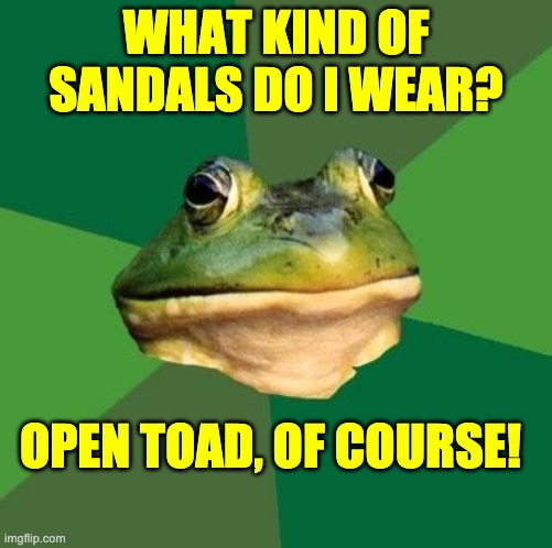 Toad | WHAT KIND OF SANDALS DO I WEAR? OPEN TOAD, OF COURSE! | image tagged in bachelor frog | made w/ Imgflip meme maker