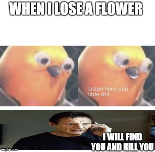 Listen here you little shit bird | WHEN I LOSE A FLOWER; I WILL FIND YOU AND KILL YOU | image tagged in listen here you little shit bird | made w/ Imgflip meme maker