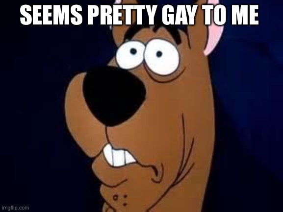 Scooby Doo Surprised | SEEMS PRETTY GAY TO ME | image tagged in scooby doo surprised | made w/ Imgflip meme maker