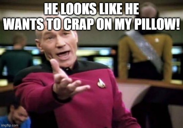 Picard Wtf Meme | HE LOOKS LIKE HE WANTS TO CRAP ON MY PILLOW! | image tagged in memes,picard wtf | made w/ Imgflip meme maker