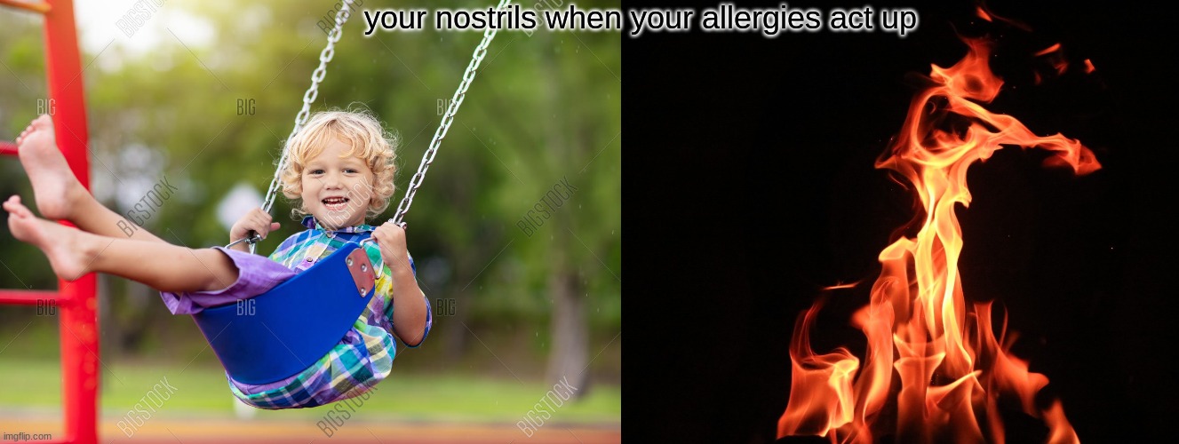 this happens to me all the time, my nose always does this | your nostrils when your allergies act up | image tagged in relatable | made w/ Imgflip meme maker