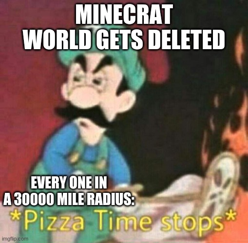 Pizza time stops | MINECRAT WORLD GETS DELETED; EVERY ONE IN A 30000 MILE RADIUS: | image tagged in pizza time stops | made w/ Imgflip meme maker