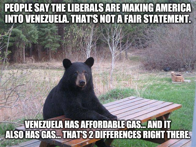 Bear at Picnic Table | PEOPLE SAY THE LIBERALS ARE MAKING AMERICA INTO VENEZUELA. THAT'S NOT A FAIR STATEMENT. VENEZUELA HAS AFFORDABLE GAS... AND IT ALSO HAS GAS... THAT'S 2 DIFFERENCES RIGHT THERE. | image tagged in bear at picnic table | made w/ Imgflip meme maker