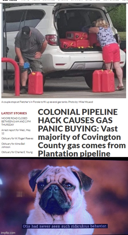 image tagged in otis had never seen such ridiculous behavior,memes,gas shortage,colonial pipeline,otis | made w/ Imgflip meme maker