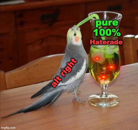Bird drinking green juice | pure
100% alt right Haterade | image tagged in bird drinking green juice | made w/ Imgflip meme maker