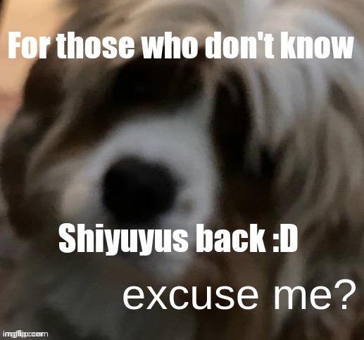 excuse me narwhals doge | For those who don't know; Shiyuyus back :D | image tagged in excuse me narwhals doge | made w/ Imgflip meme maker