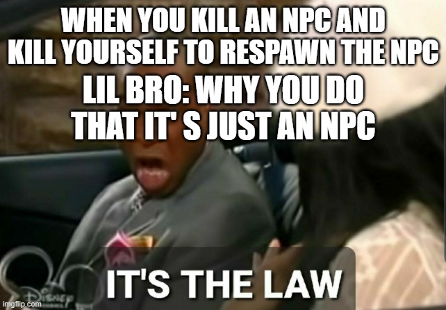 It's the law | WHEN YOU KILL AN NPC AND KILL YOURSELF TO RESPAWN THE NPC; LIL BRO: WHY YOU DO THAT IT' S JUST AN NPC | image tagged in it's the law | made w/ Imgflip meme maker