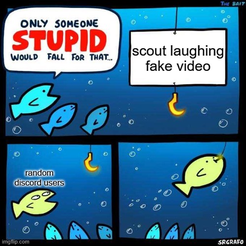Only someone stupid would fall for that | scout laughing fake video; random discord users | image tagged in only someone stupid would fall for that | made w/ Imgflip meme maker