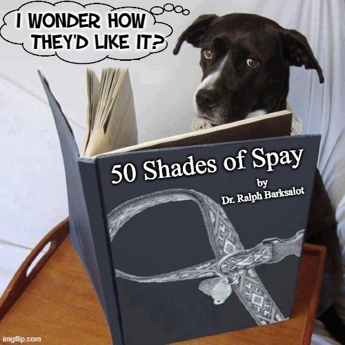 Nate Nutticut Contemplates his fate... | I WONDER HOW; THEY'D LIKE IT? 50 Shades of Spay; by
Dr. Ralph Barksalot | image tagged in vince vance,dogs,memes,50 shades,spay and neuter,50 shades of grey | made w/ Imgflip meme maker