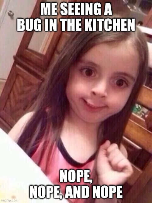 RIP lil girl | ME SEEING A BUG IN THE KITCHEN; NOPE, NOPE, AND NOPE | image tagged in little girl oops face | made w/ Imgflip meme maker