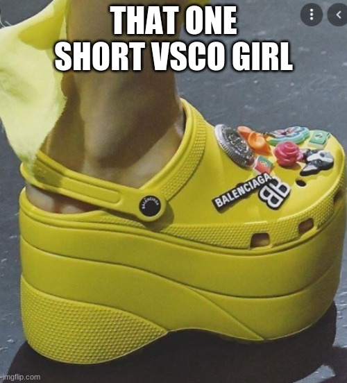 yeaaaaah | THAT ONE SHORT VSCO GIRL | image tagged in yeet | made w/ Imgflip meme maker