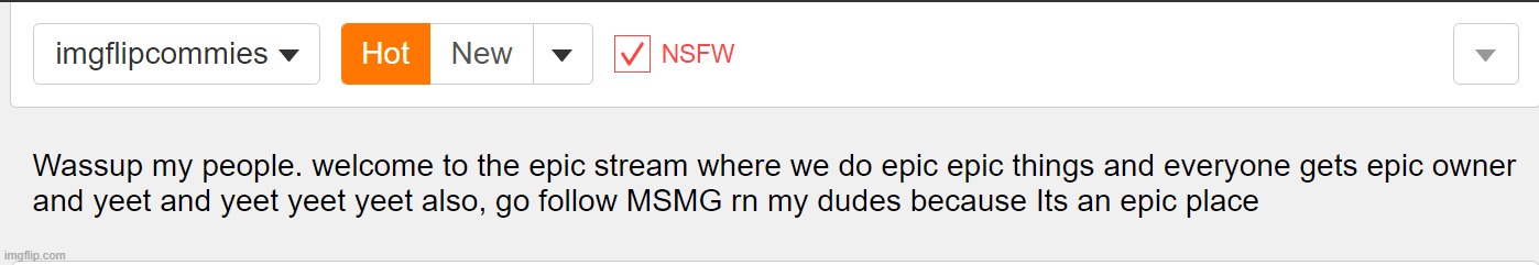 When you are so bored you destroy a stream by making stupid rules and a bad description | made w/ Imgflip meme maker