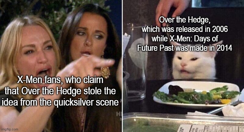 Over the Hedge started the faster-than-the-speed-of-light trend | Over the Hedge, which was released in 2006 while X-Men: Days of Future Past was made in 2014; X-Men fans, who claim that Over the Hedge stole the idea from the quicksilver scene | image tagged in women yelling at cat,over the hedge,dreamworks,xmen,x men,quicksilver | made w/ Imgflip meme maker