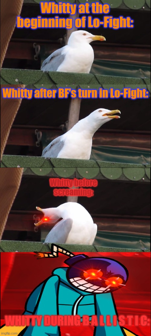 Inhaling Seagull | Whitty at the beginning of Lo-Fight:; Whitty after BF's turn in Lo-Fight:; Whitty before screaming:; WHITTY DURING B A L L I S T I C: | image tagged in memes,inhaling seagull,whitty,mad whitty,ballistic | made w/ Imgflip meme maker