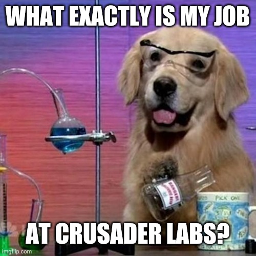 I don't know what to put for title | WHAT EXACTLY IS MY JOB; AT CRUSADER LABS? | image tagged in e | made w/ Imgflip meme maker