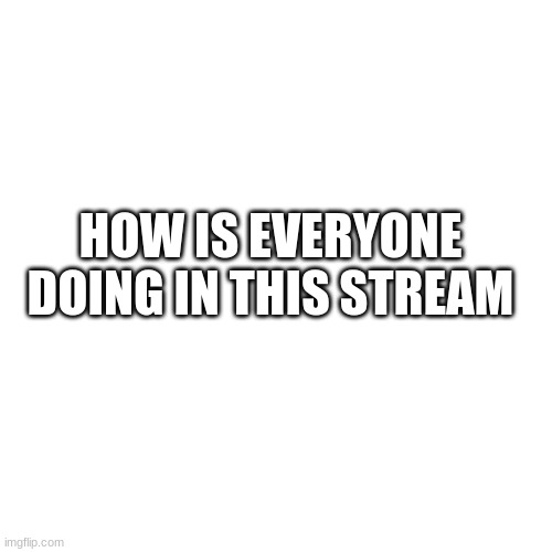 :3 | HOW IS EVERYONE DOING IN THIS STREAM | image tagged in memes,blank transparent square | made w/ Imgflip meme maker