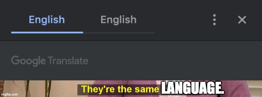 Google Translate bug in Chrome 90.0.4430.93 | LANGUAGE. | image tagged in they are the same picture | made w/ Imgflip meme maker