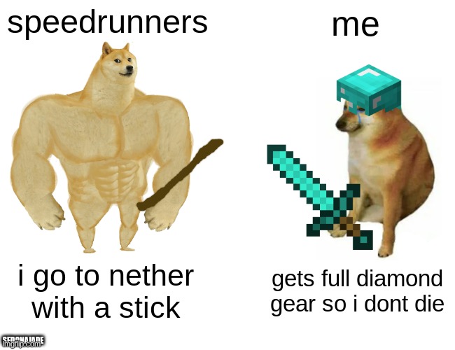 Buff Doge vs. Cheems | speedrunners; me; i go to nether with a stick; gets full diamond gear so i dont die; SEDONAJADE | image tagged in memes,buff doge vs cheems | made w/ Imgflip meme maker