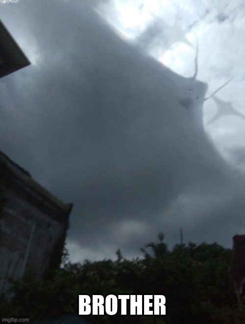 Manta | BROTHER | image tagged in manta | made w/ Imgflip meme maker