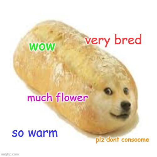 DOGE BRED | very bred; wow; much flower; so warm; plz dont consoome | image tagged in doge,bred,oh wow are you actually reading these tags | made w/ Imgflip meme maker