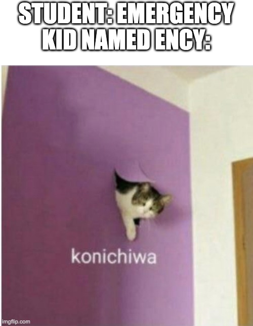 Konichiwa | STUDENT: EMERGENCY
KID NAMED ENCY: | image tagged in konichiwa | made w/ Imgflip meme maker