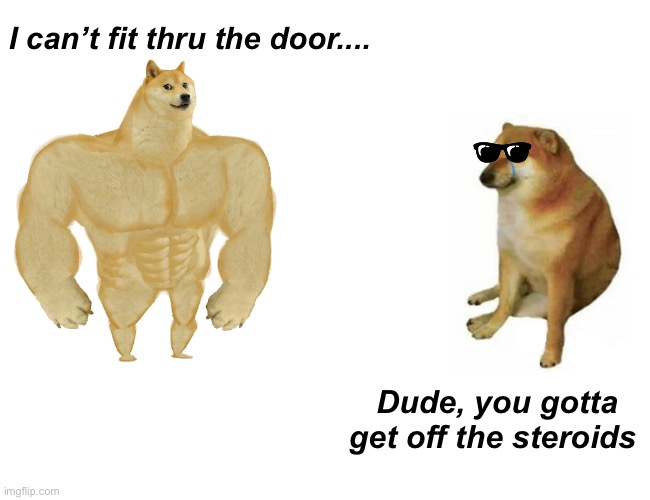 Muscle Head | I can’t fit thru the door.... Dude, you gotta get off the steroids | image tagged in memes,buff doge vs cheems | made w/ Imgflip meme maker