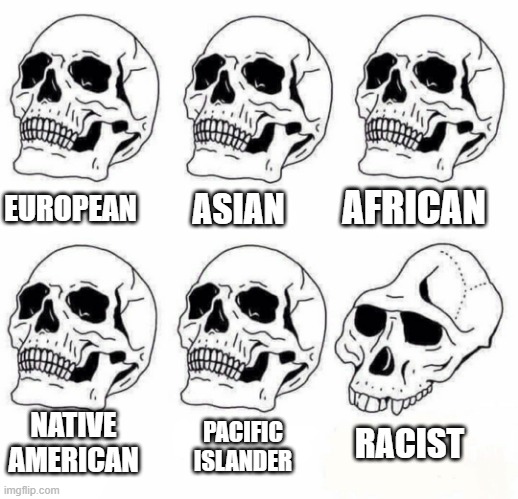 Accurate race theory | AFRICAN; ASIAN; EUROPEAN; NATIVE AMERICAN; PACIFIC ISLANDER; RACIST | image tagged in idiot skull meme | made w/ Imgflip meme maker