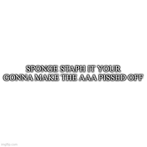 Blank Transparent Square | SPONGE STAPH IT YOUR GONNA MAKE THE AAA PISSED OFF | image tagged in memes,blank transparent square | made w/ Imgflip meme maker