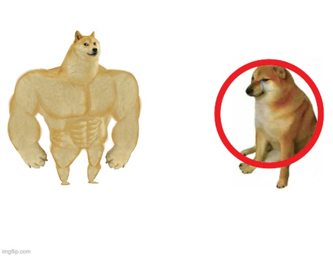 Buff Doge vs. Cheems Meme | image tagged in memes,buff doge vs cheems | made w/ Imgflip meme maker