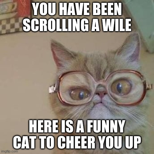 Funny Cat with Glasses | YOU HAVE BEEN SCROLLING A WILE; HERE IS A FUNNY CAT TO CHEER YOU UP | image tagged in funny cat with glasses | made w/ Imgflip meme maker
