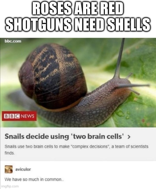 roses are red... | ROSES ARE RED
SHOTGUNS NEED SHELLS | image tagged in roses are red,memes,snail | made w/ Imgflip meme maker