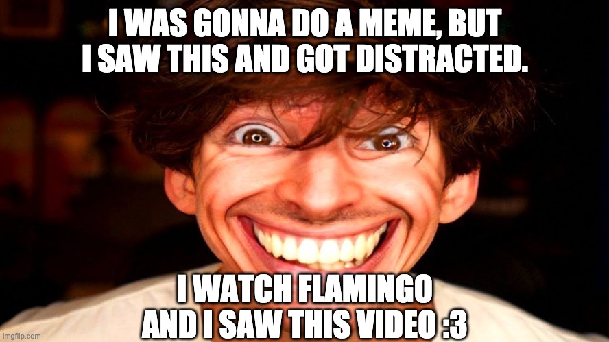 Flamingo | I WAS GONNA DO A MEME, BUT I SAW THIS AND GOT DISTRACTED. I WATCH FLAMINGO AND I SAW THIS VIDEO :3 | image tagged in flamingo | made w/ Imgflip meme maker