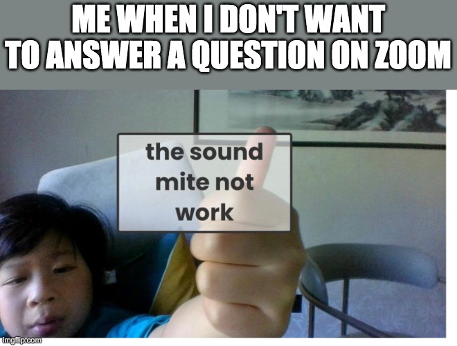 the sound mite not work | ME WHEN I DON'T WANT TO ANSWER A QUESTION ON ZOOM | image tagged in the sound mite not work | made w/ Imgflip meme maker