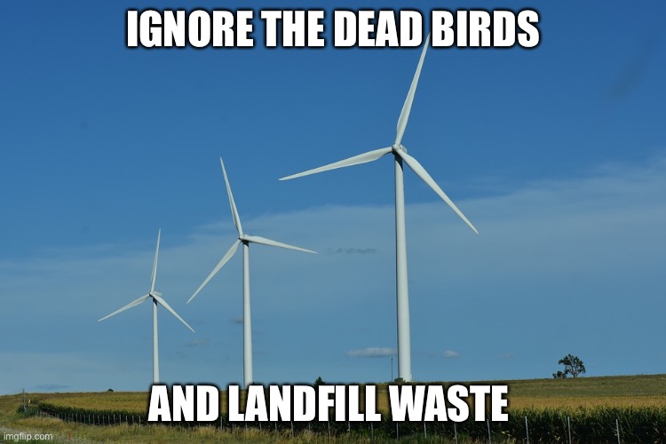 IGNORE THE DEAD BIRDS AND LANDFILL WASTE | made w/ Imgflip meme maker