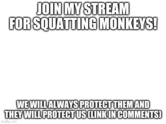 YAY | JOIN MY STREAM FOR SQUATTING MONKEYS! WE WILL ALWAYS PROTECT THEM AND THEY WILL PROTECT US (LINK IN COMMENTS) | image tagged in blank white template | made w/ Imgflip meme maker