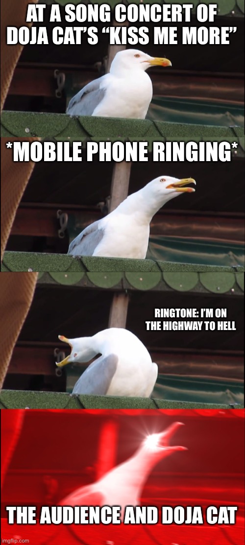 Inhaling Seagull | AT A SONG CONCERT OF DOJA CAT’S “KISS ME MORE”; *MOBILE PHONE RINGING*; RINGTONE: I’M ON THE HIGHWAY TO HELL; THE AUDIENCE AND DOJA CAT | image tagged in memes,inhaling seagull | made w/ Imgflip meme maker