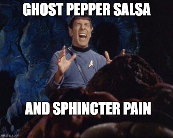 SPOCK PAIN | GHOST PEPPER SALSA; AND SPHINCTER PAIN | image tagged in funny memes | made w/ Imgflip meme maker