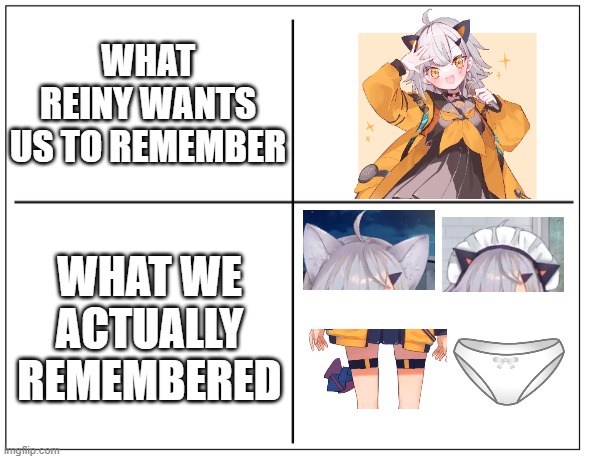 What Reiny wanted us to remember | WHAT REINY WANTS US TO REMEMBER; WHAT WE ACTUALLY REMEMBERED | image tagged in 4 square grid,reiny,vtuber,funny,memory,cat ears | made w/ Imgflip meme maker