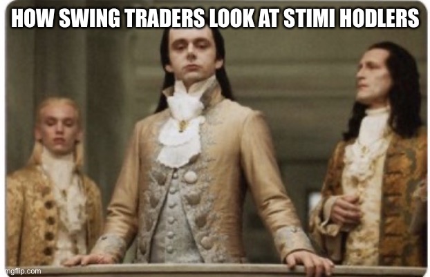 Investing doesn’t get you rich overnight | HOW SWING TRADERS LOOK AT STIMI HODLERS | image tagged in superior royalty | made w/ Imgflip meme maker