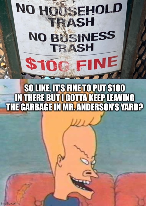 SO LIKE, IT’S FINE TO PUT $100 IN THERE BUT I GOTTA KEEP LEAVING THE GARBAGE IN MR. ANDERSON’S YARD? | image tagged in beavis | made w/ Imgflip meme maker